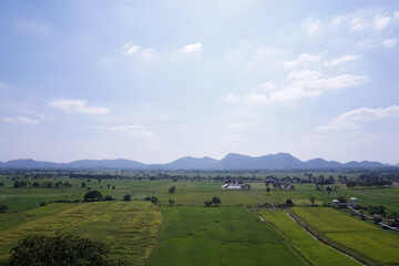 Vast fields and green mountains