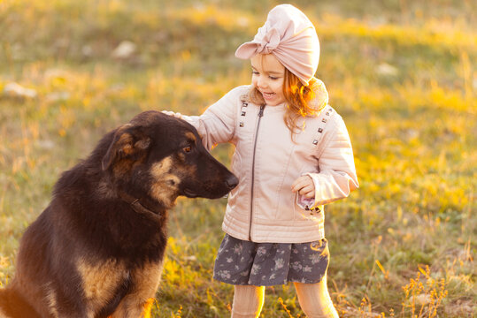 Photo of happy little cute girl peting a dog in a field on sunset.
