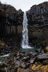 Fototapeta na wymiar Svartifoss waterfall in Iceland in spring 
