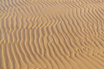 Sand texture background. Summer and holiday concept. Sea shore with wavy sand close-up. Top view, copy space.