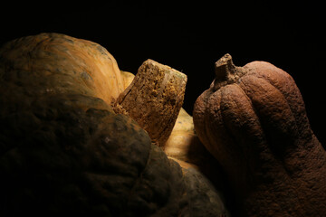 Zucche,  composizione su fondo scuro