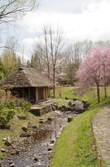 古い水車小屋と桜の木