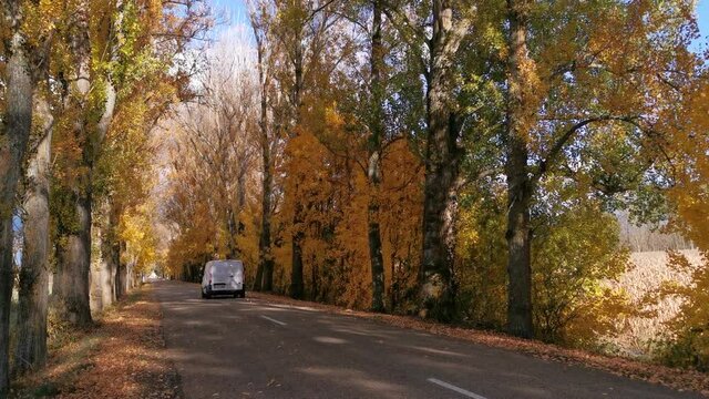 
Carretera entre &aacute;rboles oto&ntilde;ales y furgoneta que pasa