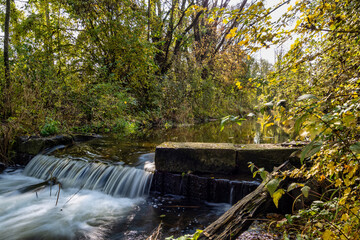 Autumnal atmosphere in the forest along the River Isar in Ismaning, Munich, Bavaria in Germany