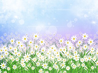 A field of white flowers, daisies and sparkle in white mist.  The illustration created on the tablet is used as a background.