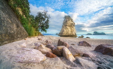 Fototapeta na wymiar sandstone rock monolith behind stones in the sand at cathedral cove, new zealand