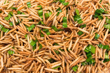 Bamboo worm fried, fried insects are a high protein foods. Its habitat are the bamboo groves and forests in the cooler regions of northern Thailand.
