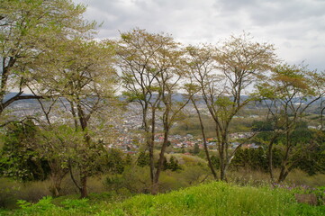 丘の上から見下ろす田舎町の風景