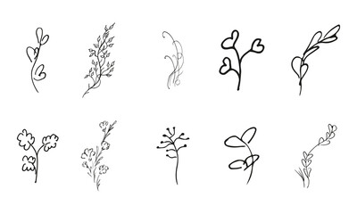 Doodle simple vector collection of 10 hand-drawn floral elements. Big collection of 10 hand-drawn branches. Big floral botanical set. Isolated on white background.