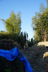 切り開かれた森林、開発のために崩された山