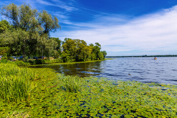 Panoramic view of Zegrzynskie Reservoir Lake and Narew river with reed and water vegetation...