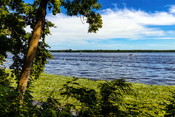 Panoramic view of Zegrzynskie Reservoir Lake and Narew river with reed and water vegetation coastline in Zegrze resort town in Mazovia region, near Warsaw, Poland