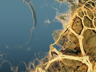 Organic 3D fractal illustration, life, 3D rendering