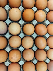 lots of raw eggs for cooking as a background