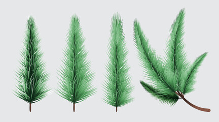 Merry Christmas and Happy New Year, Christmas tree branches background, vector illustration