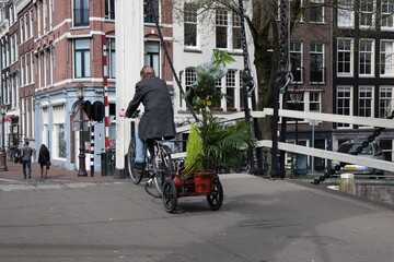 Man Transporting Plants on a Bicycle in Amsterdam