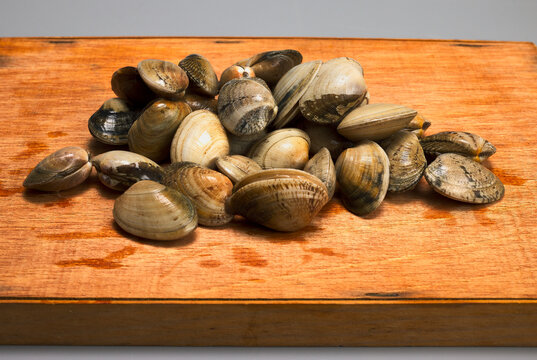 Tabla de madera con almejas babosas de las r&iacute;as de Galicia