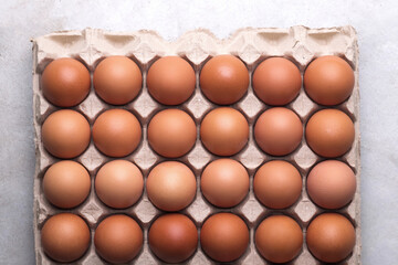 a cardboard egg tray container full with chicken eggs lay on gray color concrete background