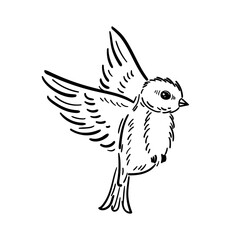 Hand drawn bird flying. Cute animal. Logo monochrome design. Line art, linocut. Ink vector illustration. Isolated on white background.