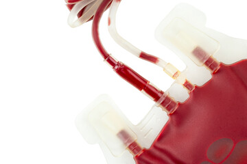 A bag of fresh blood isolated on white background.
