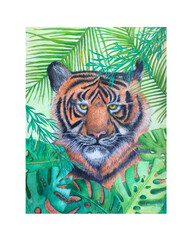 bright picture of a tiger with colored pencils, print for printing, animalistics, wild tabby cat, symbol of the year 2022, drawn with your own hands, wild vegetation, leaves, grass, blank