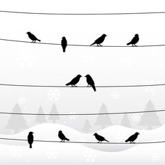 Silhouette of birds on wires in winter background