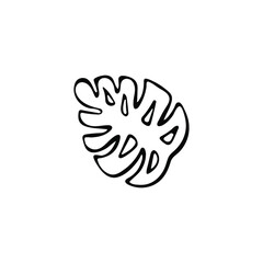 Single hand-drawn monstera leaf. Exotic tropical plant isolated on white background. Vector illustration.