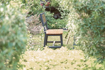 Obraz premium wooden chair seat in garden park