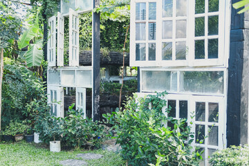 gazebo pergola for growing plant tree in garden