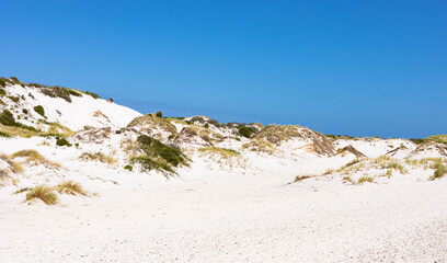 Fototapeta na wymiar Coastal sand dune landscape of Fish Hoek, Cape Town