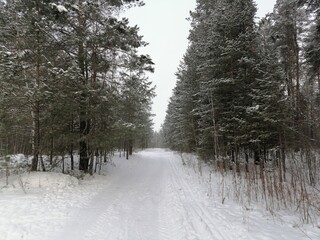 snow covered road in winter