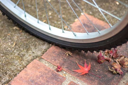 自転車と落ち葉　秋のイメージ