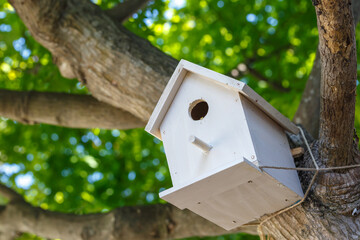 鳥の巣　自然のイメージ