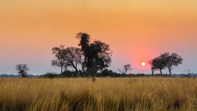 Savanna landscape in the Caprivistrip in the north of Namibia at sunset
