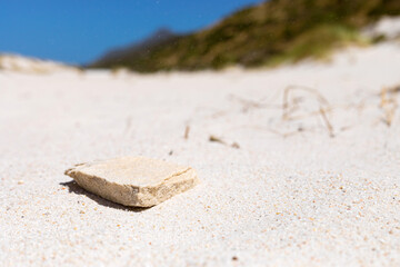 Coastal sand dune landscape of Fish Hoek, Cape Town