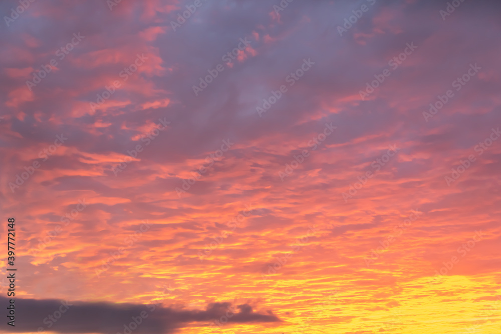 Wall mural beautiful orange sky with clouds at sunset, sky remplacement, nature background