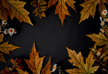 Autumn orange leaves on black background