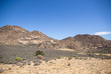 desert landscape