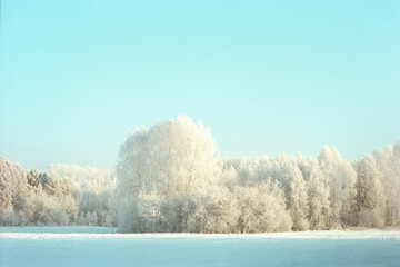 Winter landscape in soft blue tones 35 mm film