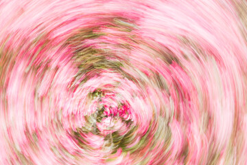 Artsy swirl motion blurred pink flowers.
