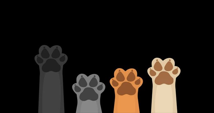 Animated animal paw icon 4K