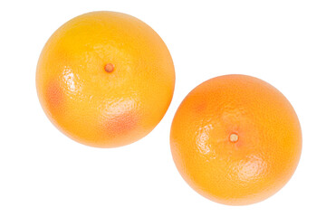 Grapefruit isolated on white background. close up
