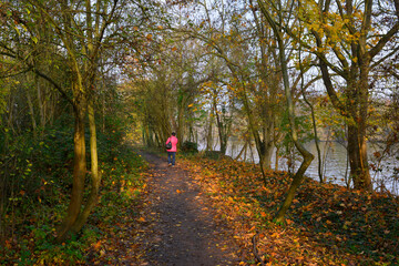 Promenade au bois du bord de l'Oise à Neuville-sur-Oise (95000), Val-d'Oise en Île-de-France, France