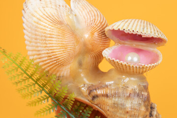 An open shell with a pearl. decoration