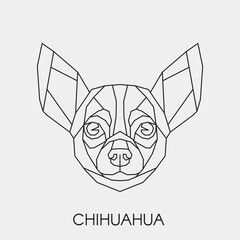 Abstract polygonal head chihuahua. Geometric linear dog. Vector.
