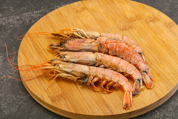 Tasty big Langoustine over the board