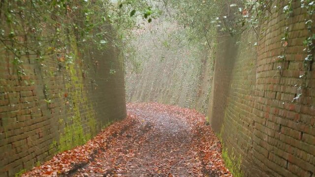 A pathway leading round this brick layered road