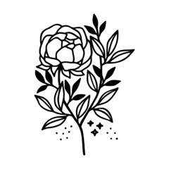 Hand drawn rose, peony flower and botanical leaf branch illustration. Black line art vector feminine logo. Symbol and icon for wedding, business card, cosmetics, jewel, brand, and beauty products