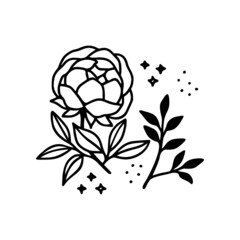 Hand drawn rose, peony flower and botanical leaf branch illustration. Black line art vector feminine logo. Symbol and icon for wedding, business card, cosmetics, jewel, brand, and beauty products
