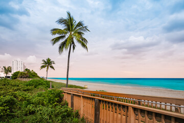 Beach with palm trees in Florida, USA.